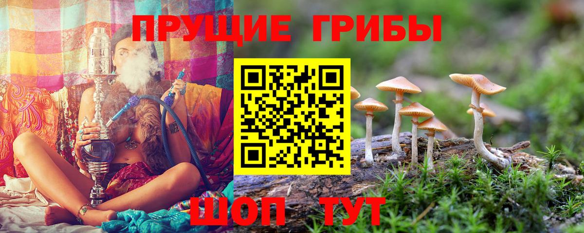 Галлюциногенные грибы Cubensis  Вход с VPN  закладки  Киселёвск 